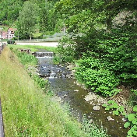 Fewo Harz Haennig 2 Walkenried Room photo