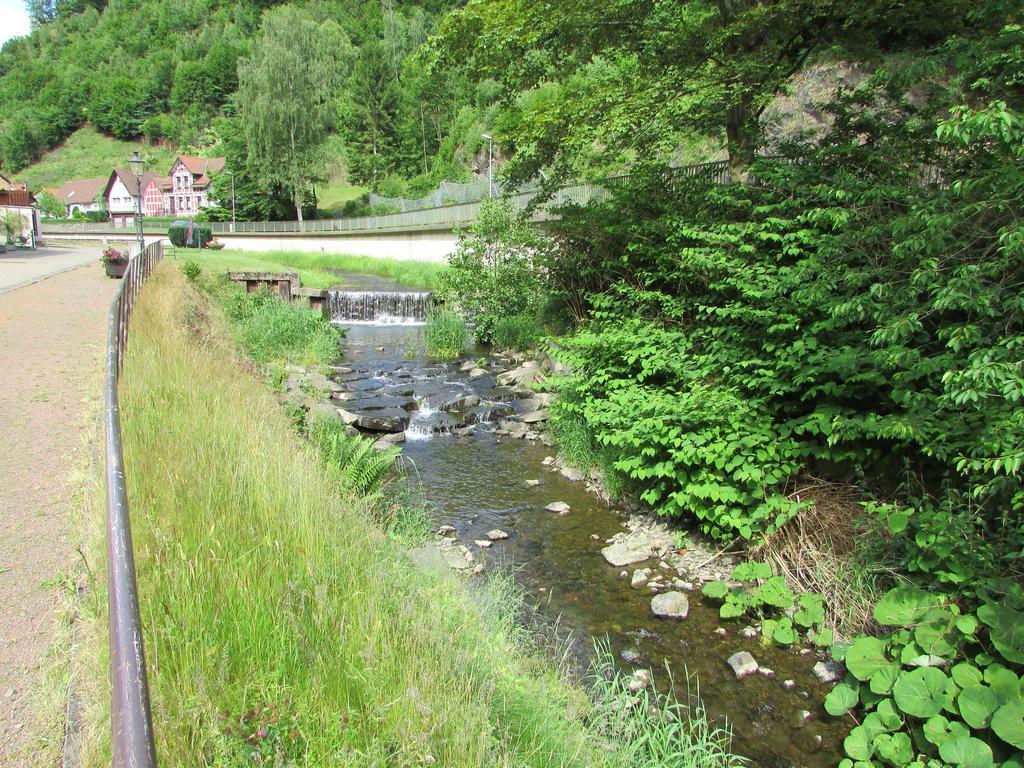 Harz Haennig 2 Walkenried
