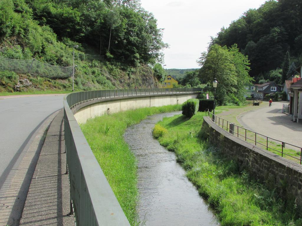 Harz Haennig 2 Walkenried