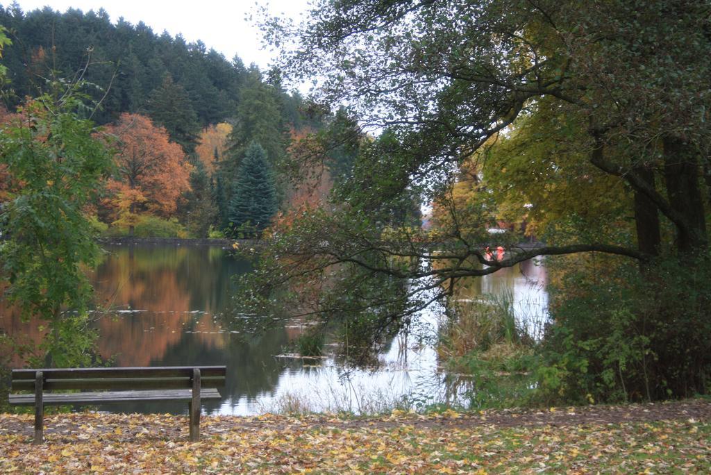 Harz Haennig 2